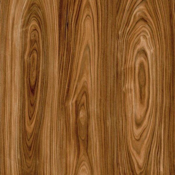 PISO L SELVA HD EXT 50X50 LC  FORMIGRÊS